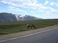 2008-07-30 Fort Collins 131
